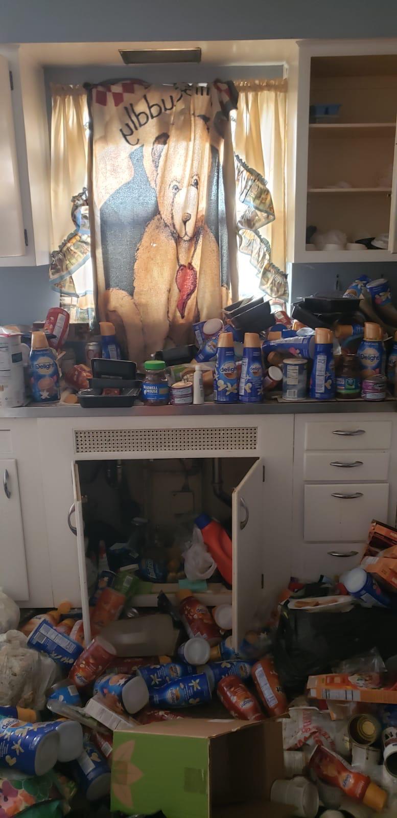 Hoarding cleanup before photo - kitchen overflowing with items in Chicago suburbs
