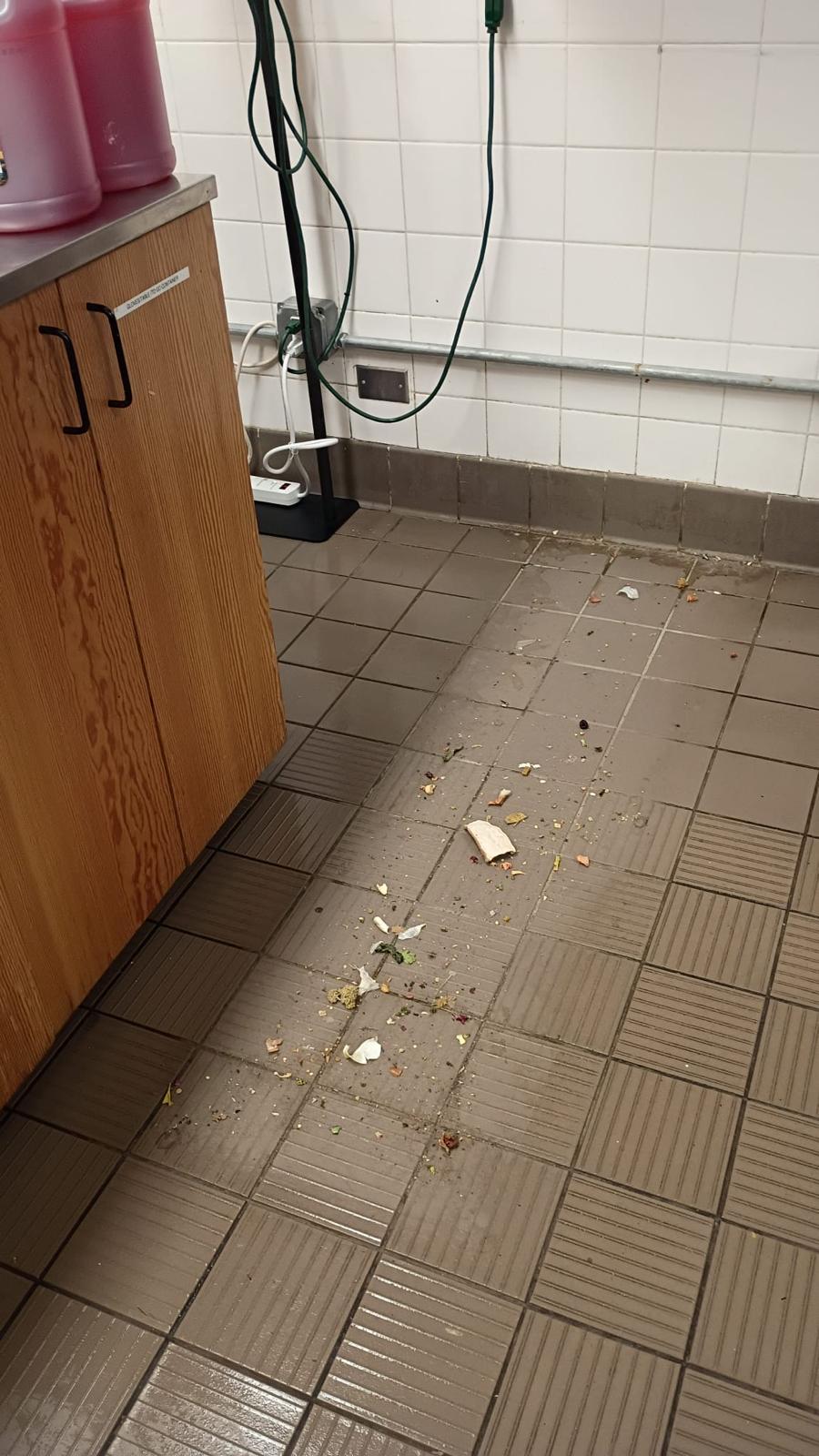 Commercial floor stripping and waxing service in Oak Lawn IL